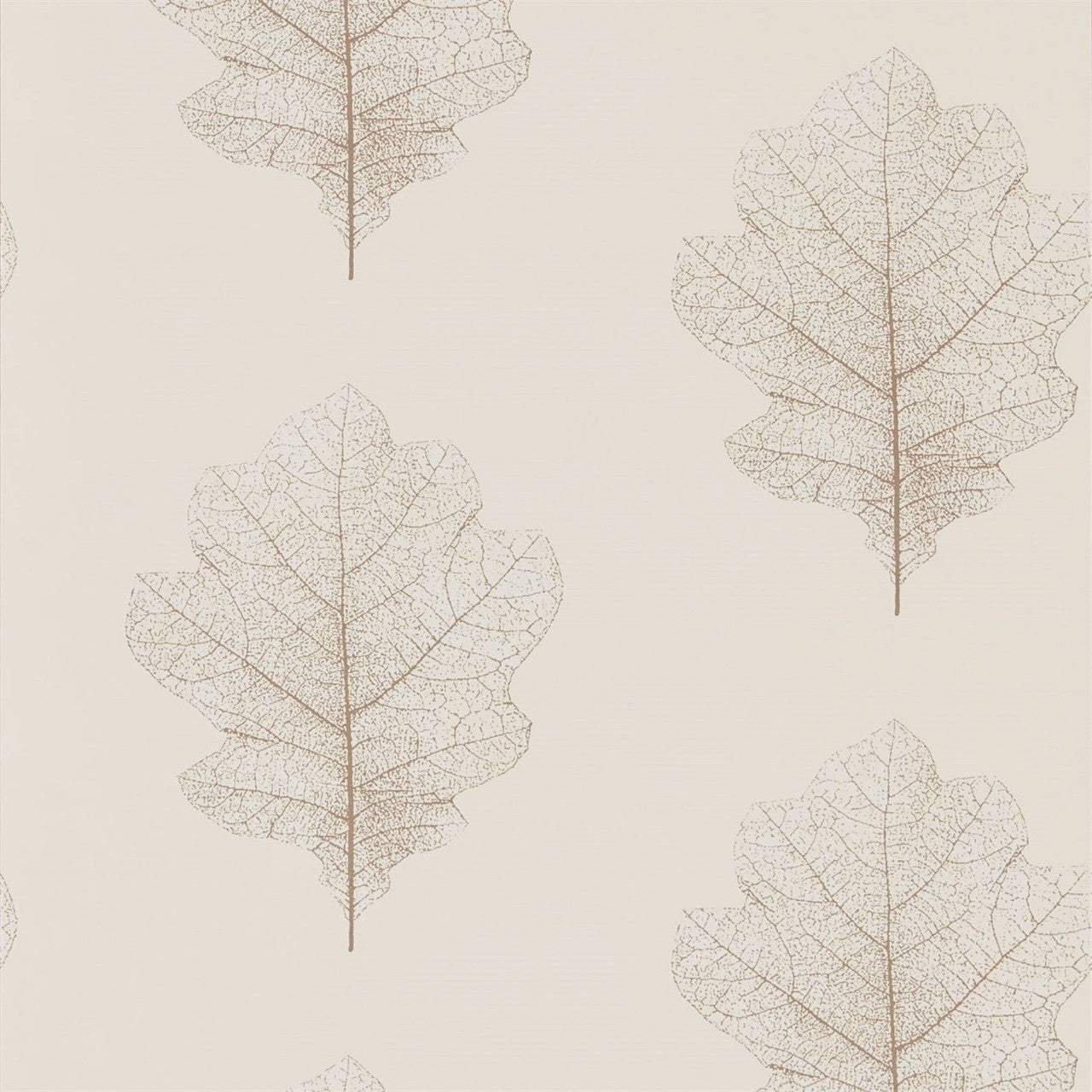 215699 ( DWOW215699 ) Oak Filigree Woodland Walk Wallpaper by Sanderson