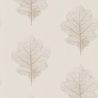 215699 ( DWOW215699 ) Oak Filigree Woodland Walk Wallpaper by Sanderson
