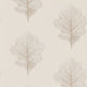 Oak Filigree Woodland Walk Wallpaper by Sanderson
