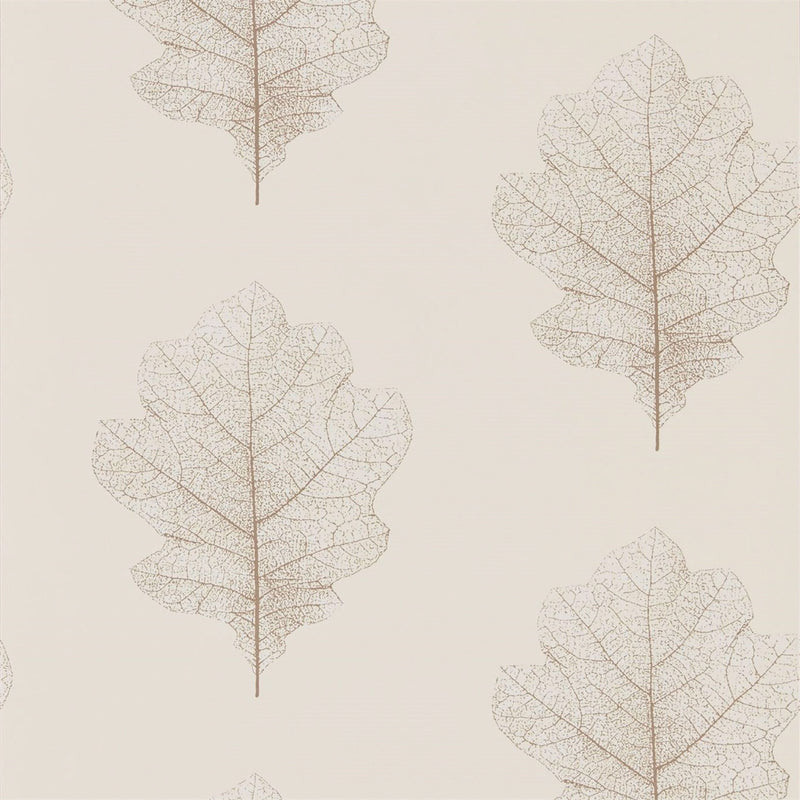 215699 ( DWOW215699 ) Oak Filigree Woodland Walk Wallpaper by Sanderson