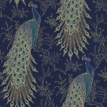 215700 Peacock Portfolio Wallpaper by Rasch