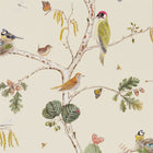215703 ( DWOW215703 ) Woodland Chorus Woodland Walk Wallpaper by Sanderson