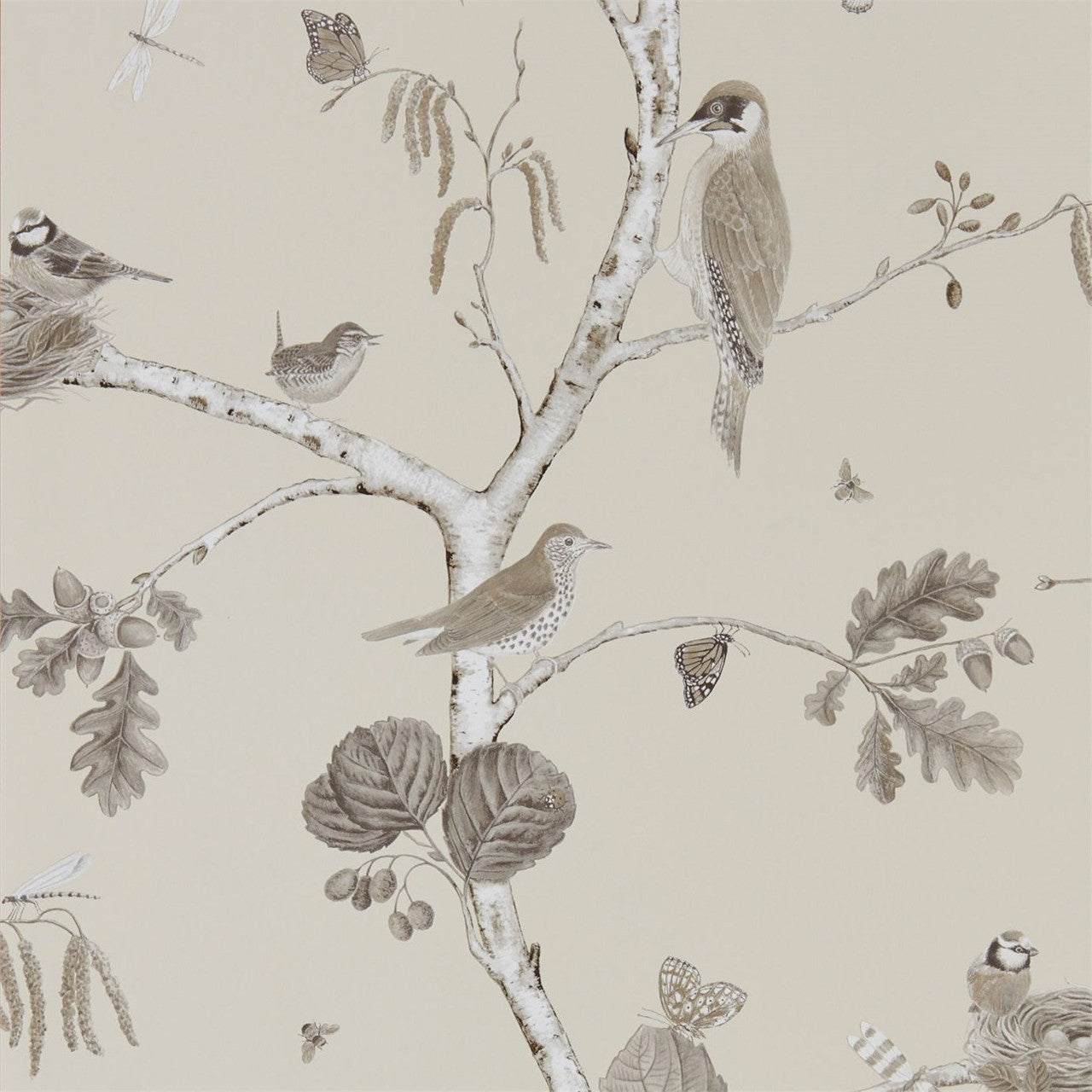 215704 ( DWOW215704 ) Woodland Chorus Woodland Walk Wallpaper by Sanderson