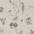215704 ( DWOW215704 ) Woodland Chorus Woodland Walk Wallpaper by Sanderson