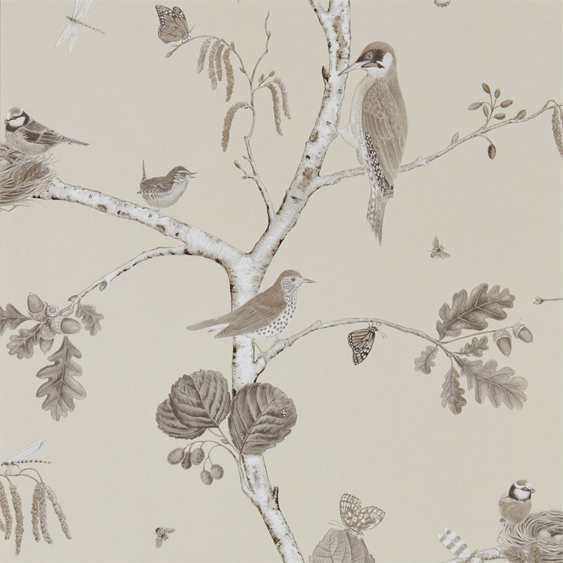215704 ( DWOW215704 ) Woodland Chorus Woodland Walk Wallpaper by Sanderson