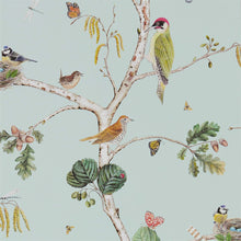 215706 ( DWOW215706 ) Woodland Chorus Woodland Walk Wallpaper by Sanderson