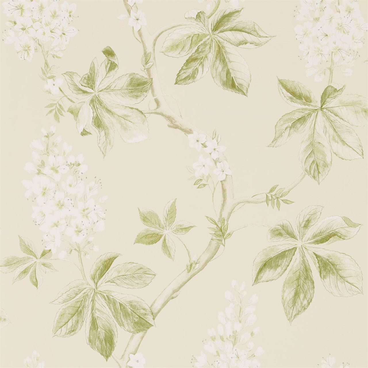 215707 ( DWOW215707 ) Chestnut Tree Woodland Walk Wallpaper by Sanderson