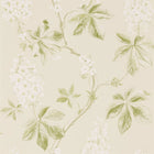 215707 ( DWOW215707 ) Chestnut Tree Woodland Walk Wallpaper by Sanderson