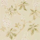 215709 ( DWOW215709 ) Chestnut Tree Woodland Walk Wallpaper by Sanderson