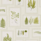 Fern Gallery Woodland Walk Wallpaper by Sanderson