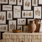 215713 ( DWOW215713 ) Fern Gallery Woodland Walk Wallpaper by Sanderson