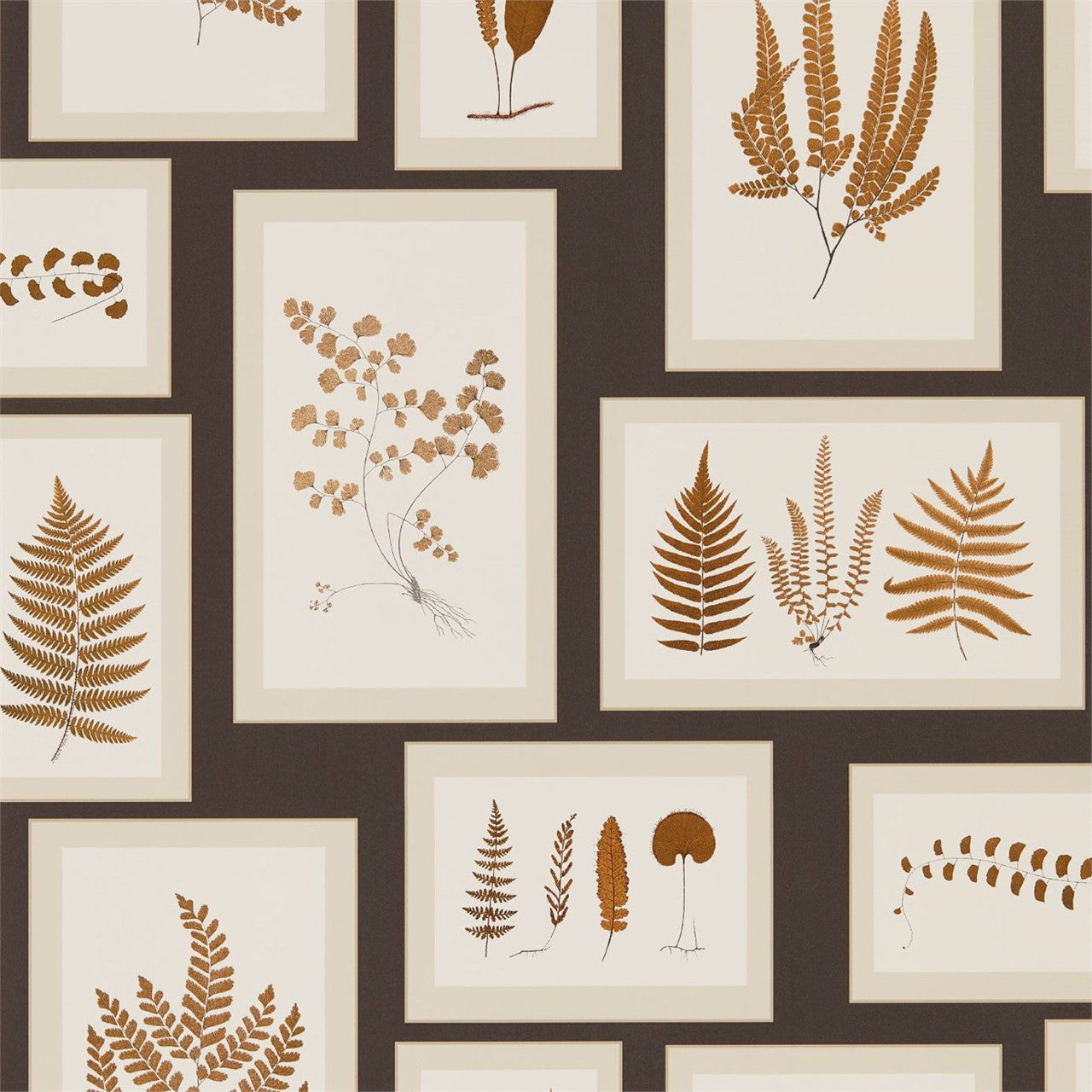 215713 ( DWOW215713 ) Fern Gallery Woodland Walk Wallpaper by Sanderson