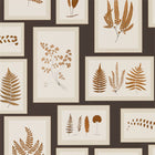 215713 ( DWOW215713 ) Fern Gallery Woodland Walk Wallpaper by Sanderson
