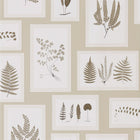 215714 ( DWOW215714 ) Fern Gallery Woodland Walk Wallpaper by Sanderson