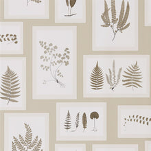 215714 ( DWOW215714 ) Fern Gallery Woodland Walk Wallpaper by Sanderson