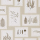 Fern Gallery Woodland Walk Wallpaper by Sanderson