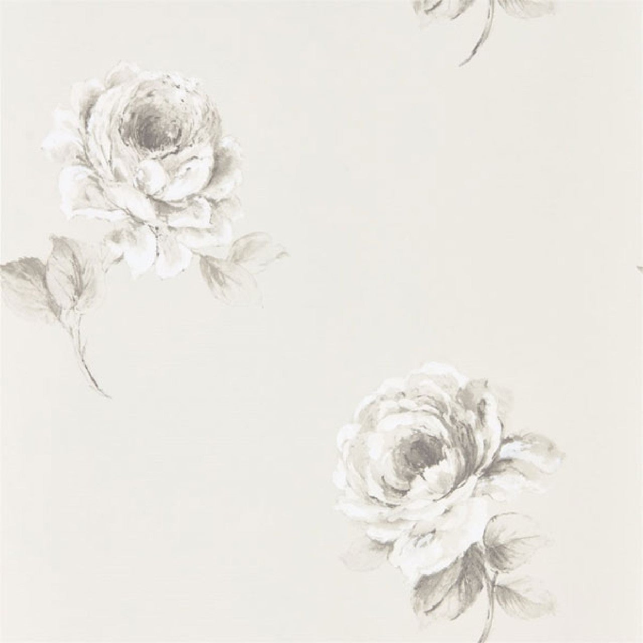 216276 Rosa Waterperry Wallpaper by Sanderson