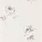 216276 Rosa Waterperry Wallpaper by Sanderson