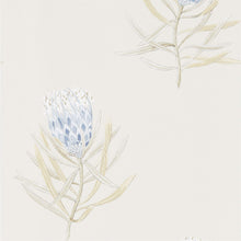 216327 Protea Flower Art Of The Garden Wallpaper By Sanderson