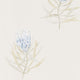 Protea Flower Art Of The Garden Wallpaper By Sanderson