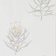 Protea Flower Art Of The Garden Wallpaper By Sanderson