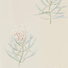 216329 Protea Flower Art Of The Garden Wallpaper By Sanderson