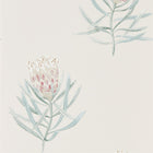 216330 Protea Flower Art Of The Garden Wallpaper By Sanderson