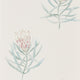 Protea Flower Art Of The Garden Wallpaper By Sanderson