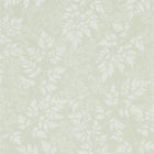 216372 Spring Leaves The Potting Room Wallpaper By Sanderson Home