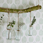 216383 Lyme Leaf The Potting Room Wallpaper By Sanderson Home