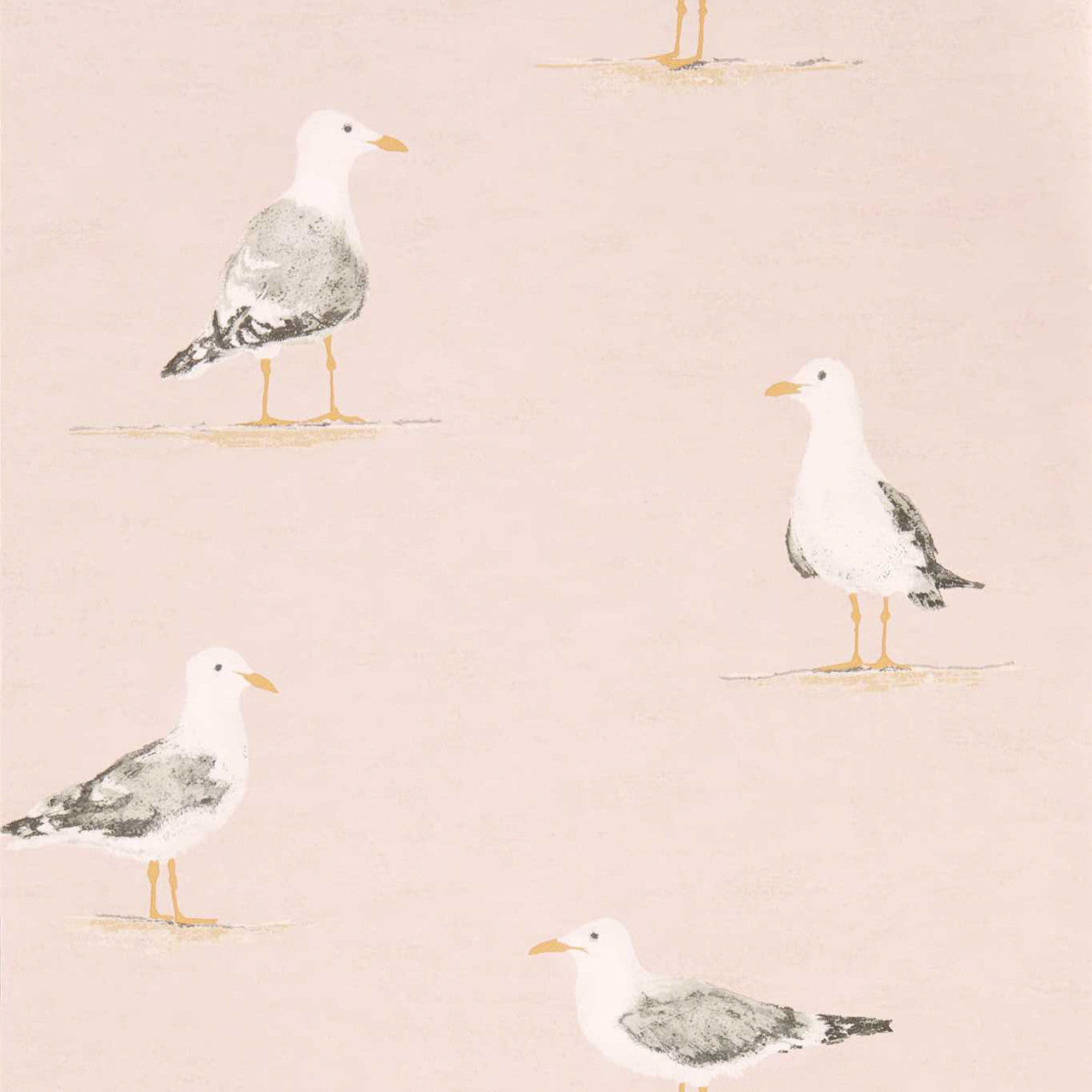 216562 ( DCOA216562 ) Shore Birds Port Isaac Wallpaper By Sanderson Home