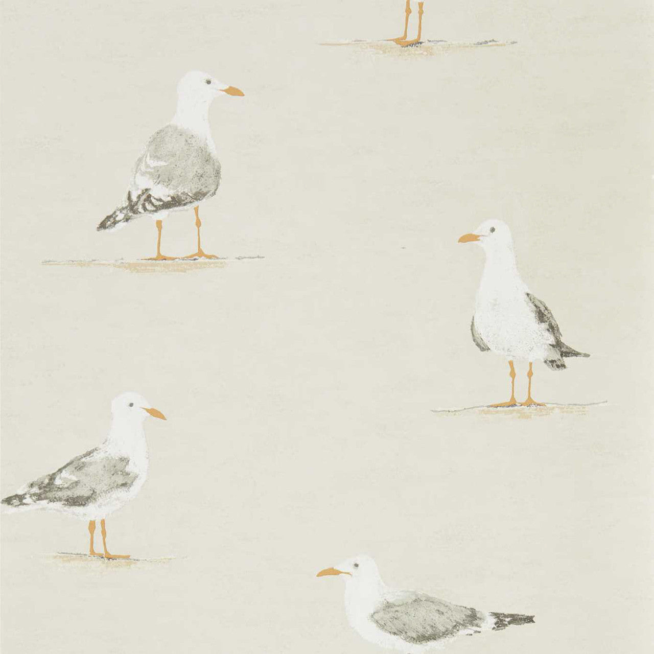 216563 ( DCOA216563 ) Shore Birds Port Isaac Wallpaper By Sanderson Home