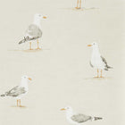 216563 ( DCOA216563 ) Shore Birds Port Isaac Wallpaper By Sanderson Home