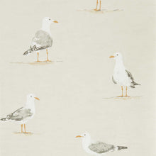 216563 ( DCOA216563 ) Shore Birds Port Isaac Wallpaper By Sanderson Home