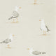 Shore Birds Port Isaac Wallpaper By Sanderson Home