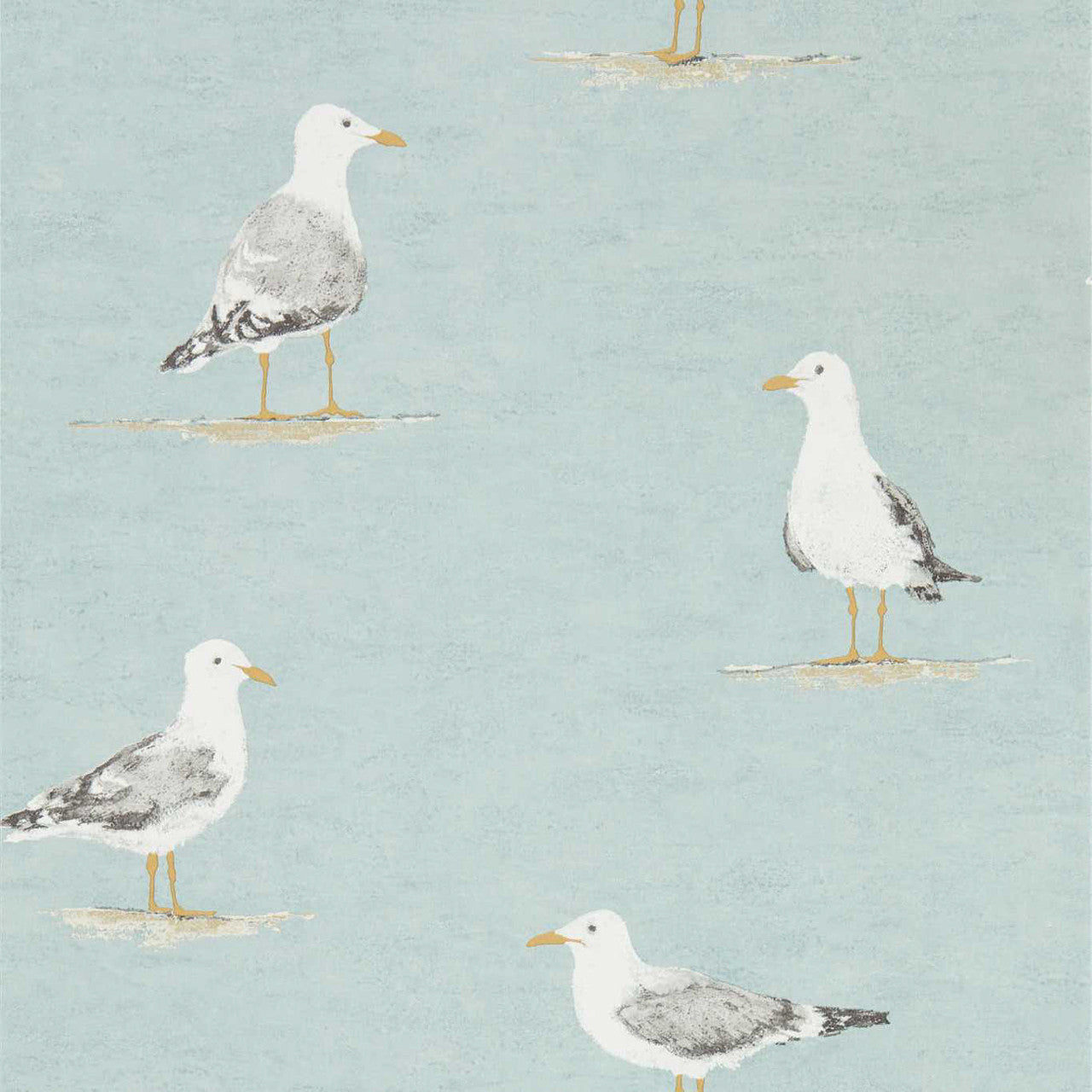 216564 ( DCOA216564 ) Shore Birds Port Isaac Wallpaper By Sanderson Home
