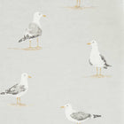 216565 ( DCOA216565 ) Shore Birds Port Isaac Wallpaper By Sanderson Home