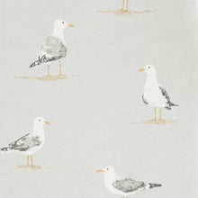 216565 ( DCOA216565 ) Shore Birds Port Isaac Wallpaper By Sanderson Home