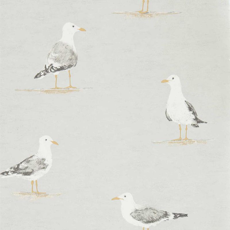 216565 ( DCOA216565 ) Shore Birds Port Isaac Wallpaper By Sanderson Home