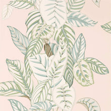 216632 Calathea Glasshouse Wallpaper By Sanderson