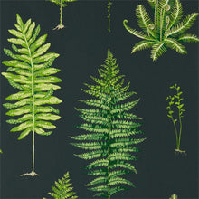216634 Fernery Glasshouse Wallpaper By Sanderson