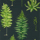 Fernery Glasshouse Wallpaper By Sanderson