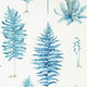 Fernery Glasshouse Wallpaper By Sanderson
