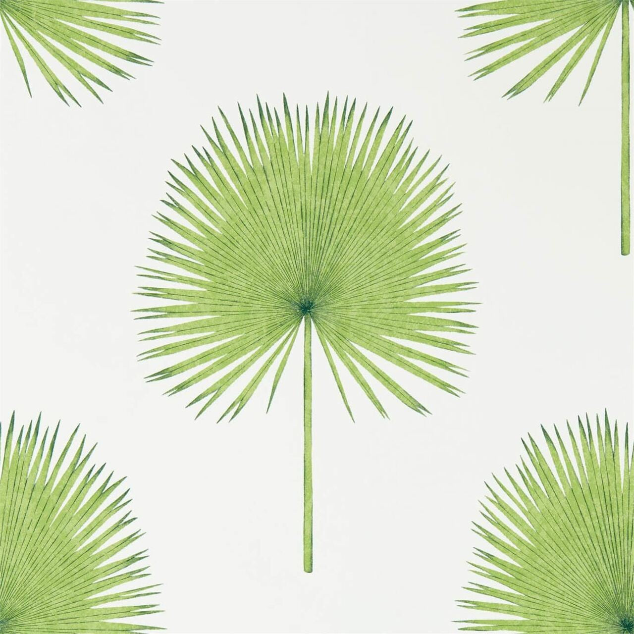 216636 Fan Palm Glasshouse Wallpaper By Sanderson