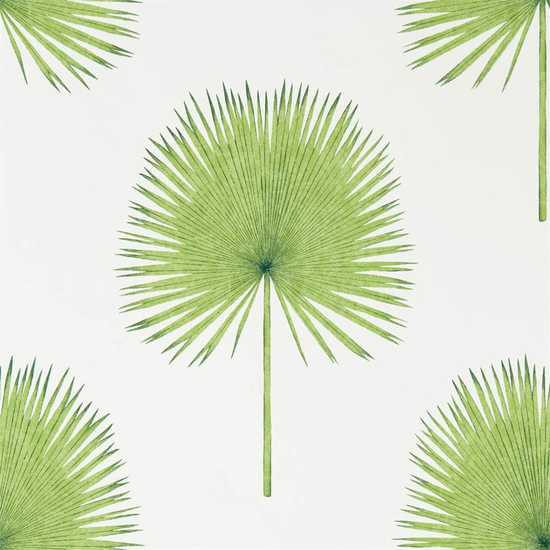 216636 Fan Palm Glasshouse Wallpaper By Sanderson