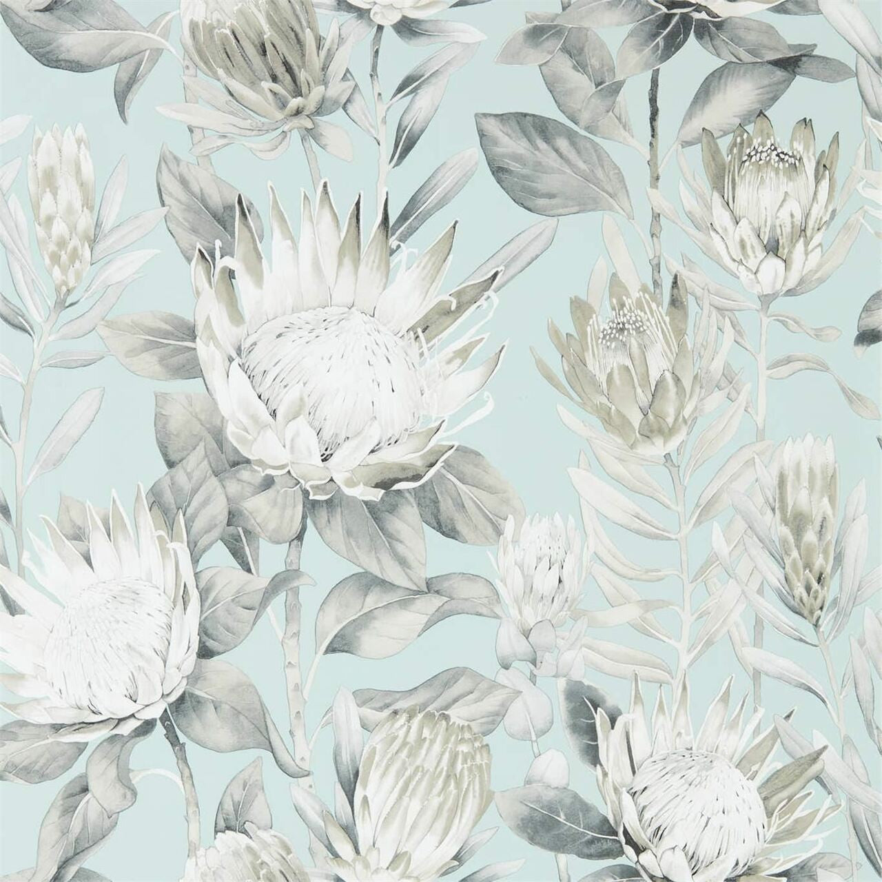 216645 King Protea Glasshouse Wallpaper By Sanderson