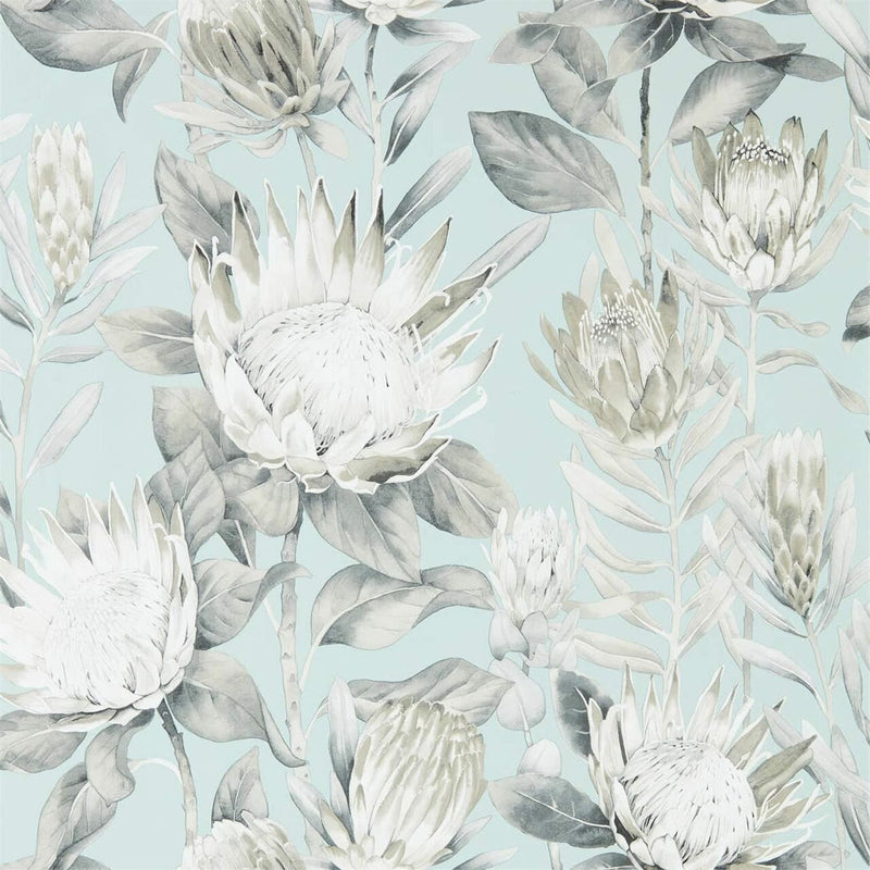 216645 King Protea Glasshouse Wallpaper By Sanderson