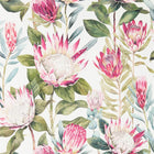 216646 King Protea Glasshouse Wallpaper By Sanderson