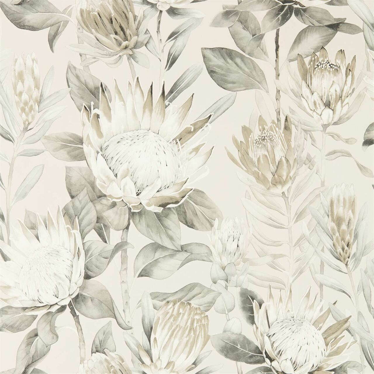 216647 King Protea Glasshouse Wallpaper By Sanderson