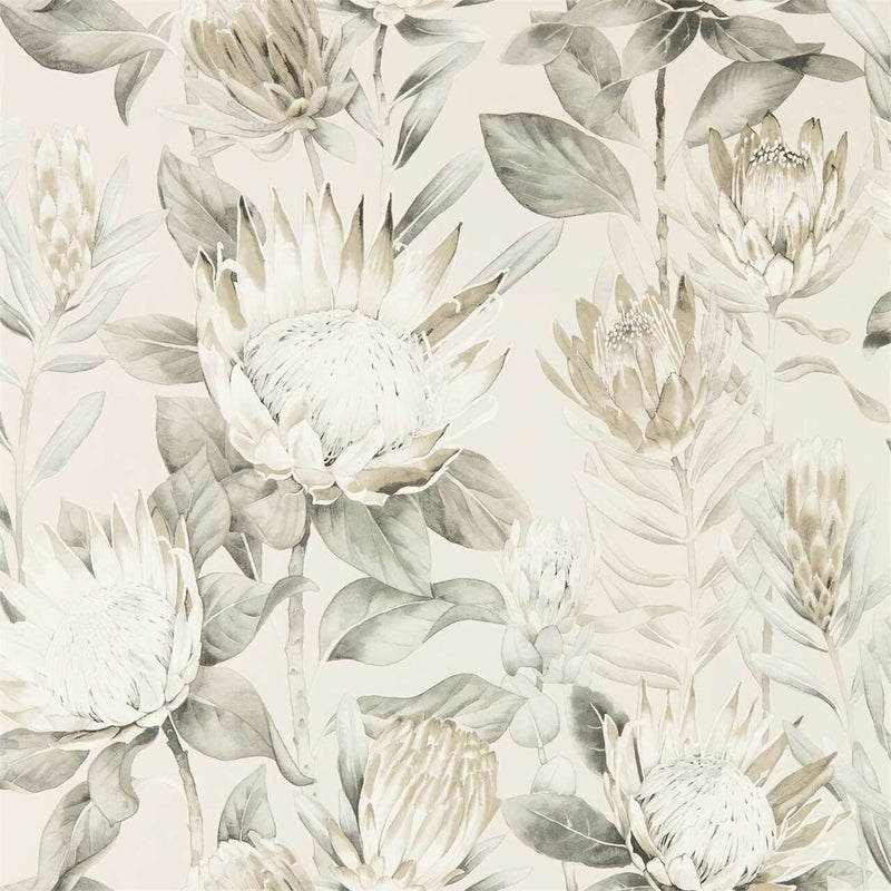216647 King Protea Glasshouse Wallpaper By Sanderson